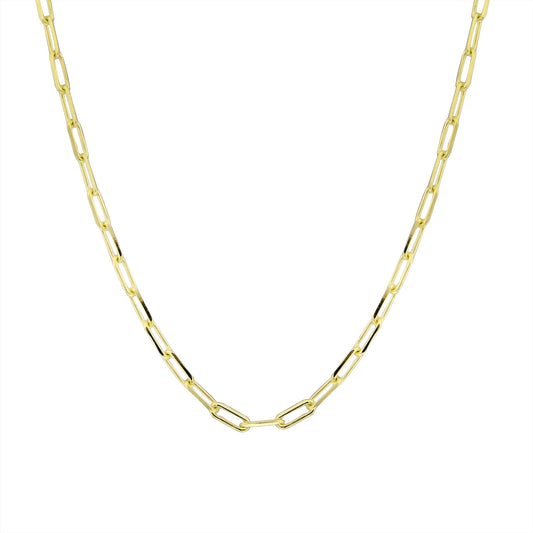 14K Gold Clip Chain