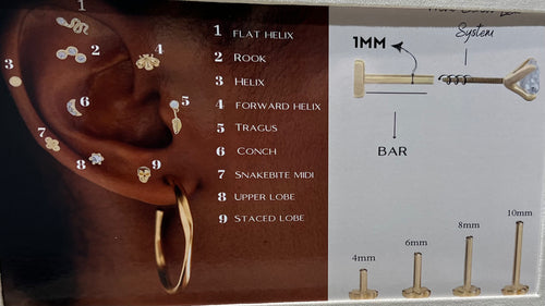 14 K  Beşli Taşlı  Piercing